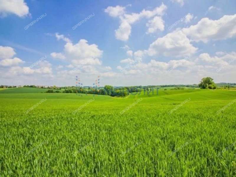 земельный участок 4 200 соток улица Хлеборобов село Арапово